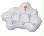 Guaniinin kemiallinen rakenne. Atomit on värjätty seuraavasti:happi punainen, hiili harmaa, typpi sininen, vety valkoinen